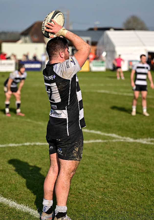 Luctonians Rfc Luctonians | Zeeon