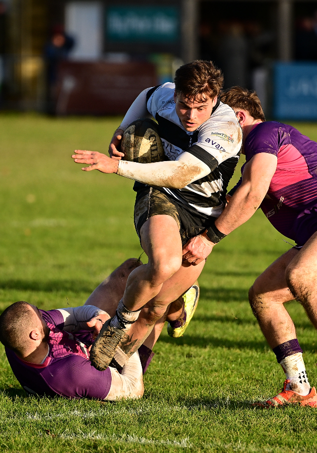 Luctonians Rfc Luctonians | Zeeon