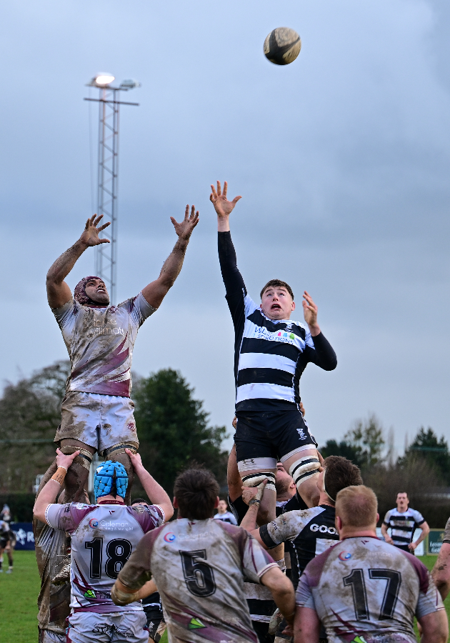 Luctonians Rfc Luctonians | Zeeon
